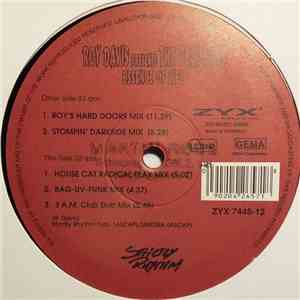 Roy Davis Presents The Believers - Essence Of Life mp3 album