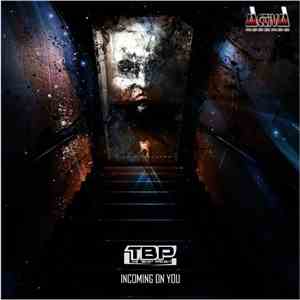 The Beast Project - Incoming On You mp3 album