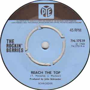 The Rockin' Berries - Reach The Top mp3 album