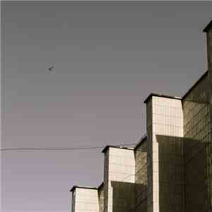 Tsone - Dovetail mp3 album