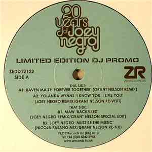 Various - 20 Years Of Joey Negro Limited Edition DJ Sampler mp3 album