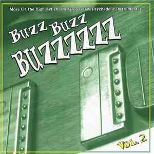 Various - Buzz Buzz Buzzzzzz Vol. 2 mp3 album