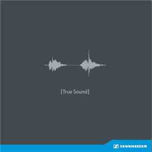 Various - Sennheiser [True Sound] mp3 album