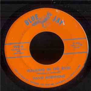 David Ridenhour - Walking In The Rain/ Neon Signs And Honky Tonks mp3 album
