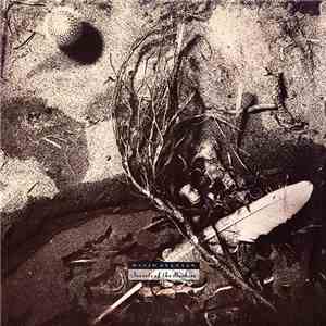 David Sylvian - Secrets Of The Beehive mp3 album