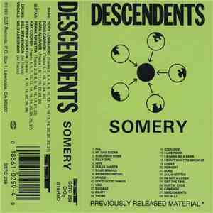 Descendents - Somery mp3 album