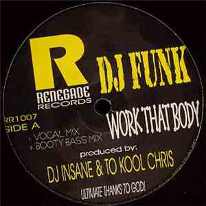 DJ Funk - Work That Body mp3 album