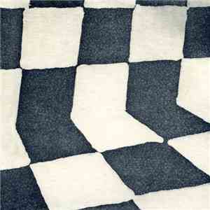 Ducktails - The Flower Lane mp3 album