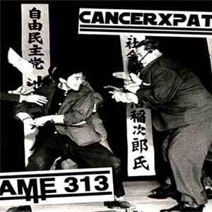Frame 313 / Cancer Patient - Frame 313 // Cancer Patient mp3 album