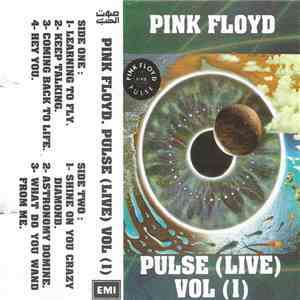 Pink Floyd - Pulse (Live) mp3 album