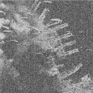 S4TVR4TI0N - Violence Is The Solution mp3 album