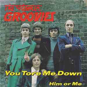 The Flamin' Groovies - You Tore Me Down mp3 album