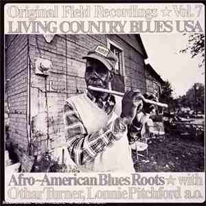 Various - Afro-American Blues Roots mp3 album