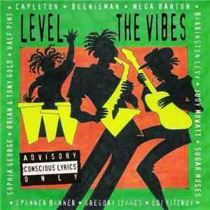 Various - Level The Vibes mp3 album