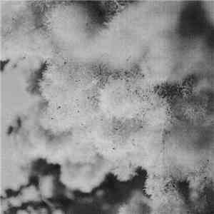 Window Magic - Circular mp3 album