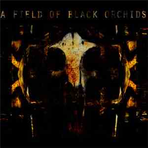 A Field Of Black Orchids - The Golden Age Ov Saturn mp3 album