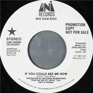 Big Bam Boo - If You Could See Me Now mp3 album