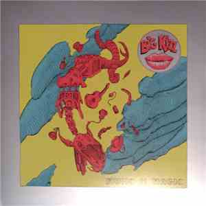 Big Kizz - Music is Magic mp3 album