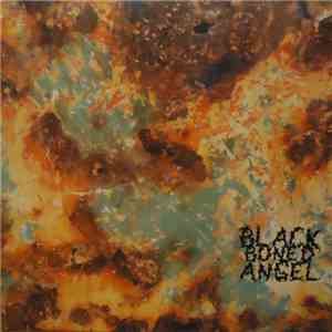 Black Boned Angel - The Witch Must Be Killed mp3 album