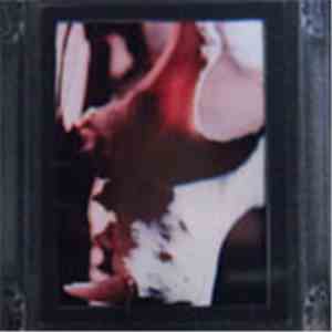 Brown Snake Kills Dog - Sorry, I Failed To... mp3 album