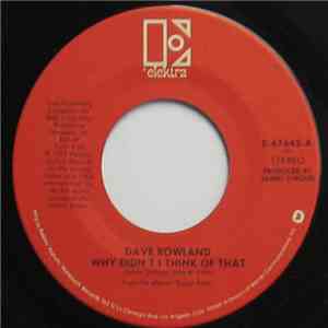 Dave Rowland  - Why Didn't I Think Of That mp3 album