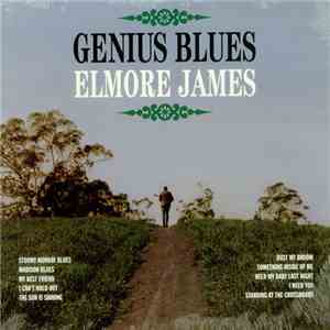 Elmore James - Genius Blues mp3 album