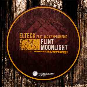 Elteck - Flint / Moonlight mp3 album