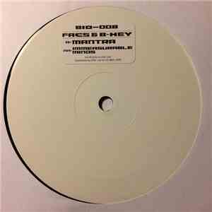 Facs + B-Key - Mantra / Immeasurable Minds mp3 album