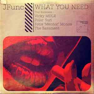 JFunc - What You Need (The Remixes) mp3 album