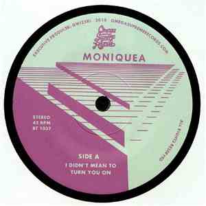 Moniquea - I Didn't Mean To Turn You On mp3 album