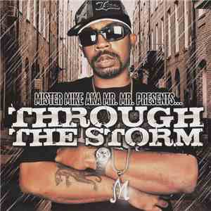 Mr. Mike  - Through The Storm mp3 album