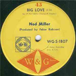 Ned Miller - Big Love mp3 album