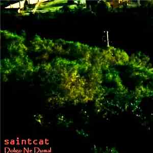 Saintcat - Dolgo Ne Dumal mp3 album