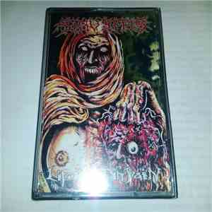 Sinusitis - Life Lost Invain mp3 album