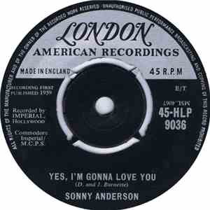 Sonny Anderson - Yes, I'm Gonna Love You mp3 album