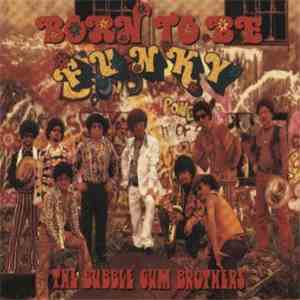The Bubble Gum Brothers - Born To Be Funky mp3 album