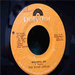 The Road Apples - Holding On mp3 album
