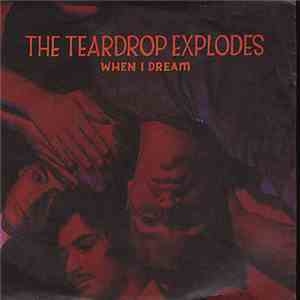 The Teardrop Explodes - When I Dream mp3 album