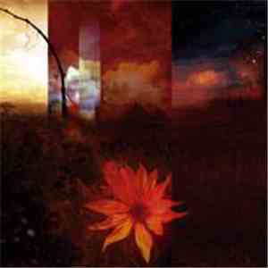 To-Mera - Transcendental mp3 album