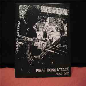 Ulcerrhoea - Final Noise Attack mp3 album