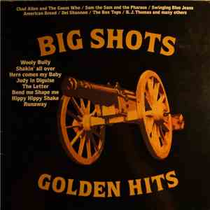 Various - Big Shots - Golden Hits mp3 album