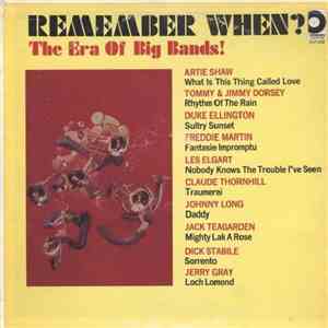 Various - Remember When? The Era Of Big Bands mp3 album