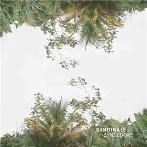 Bandina ié - Synekdoke mp3 album