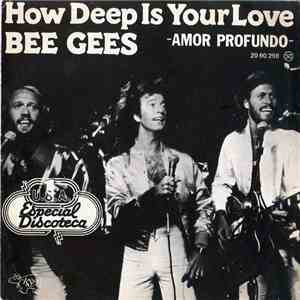 Bee Gees - How Deep Is Your Love = Amor Profundo mp3 album