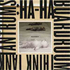 Belles Of Skin City - Ha Ha Boardroom Think Tank Tantrums mp3 album