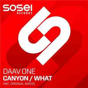 Daav One - Canyon / What mp3 album