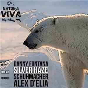 Danny Fontana - Silver Haze mp3 album