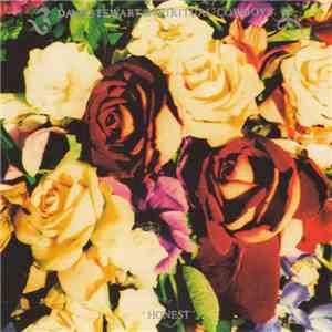 Dave Stewart And The Spiritual Cowboys - Honest mp3 album