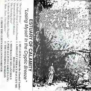 Estuary Of Calamity - Losing Myself In The Cryptic Breeze mp3 album