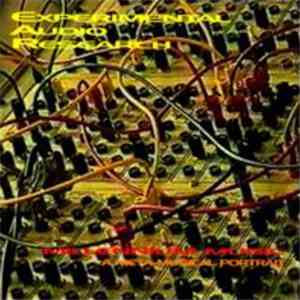 Experimental Audio Research - Millennium Music mp3 album